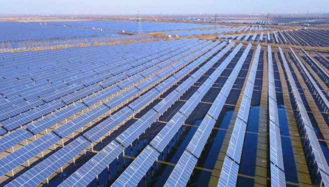 Same Roar, Different Den: The Shadow of Tiger Global on Hareon Solar